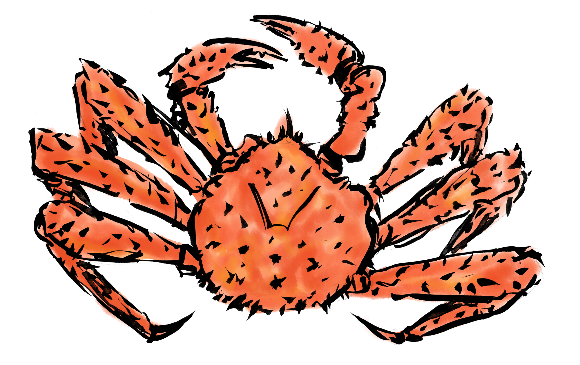 タラバガニ蟹の墨絵イラスト 無料イラスト配布サイトマンガトップ
