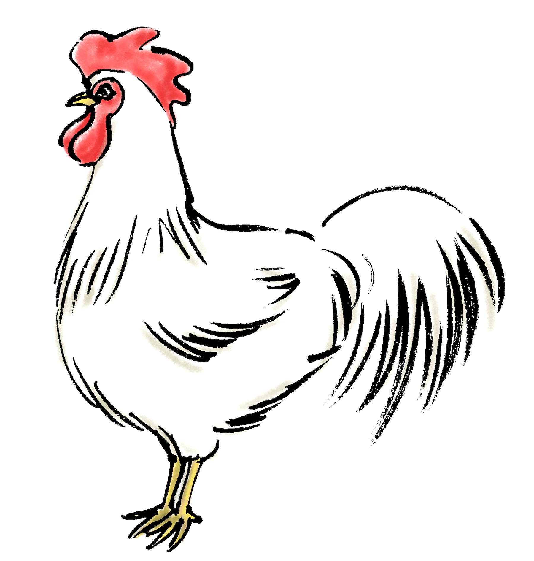 白いニワトリ鶏墨絵筆描き 無料年賀状素材干支酉年 無料イラスト配布サイトマンガトップ