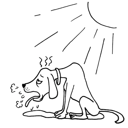 犬の熱中症注意モノクロイラスト